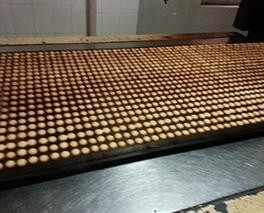 Transmission Cakes Carbon Steel Conveyor Belt Biscuit Flat